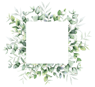 Eucalyptus Watercolor Frame. Eucalyptus Greenery Frame Hand Painted isolated on transparent background.  Perfect for wedding invitations, floral labels, bridal shower and  floral greeting cards png