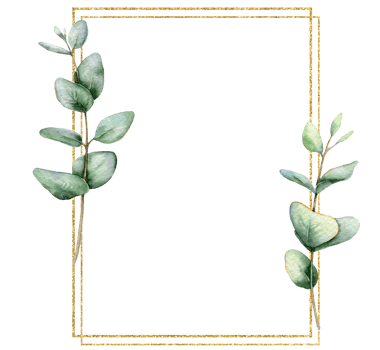 Eucalyptus Watercolor Frame. Eucalyptus Greenery Frame Hand Painted isolated on transparent background.  Perfect for wedding invitations, floral labels, bridal shower and  floral greeting cards png