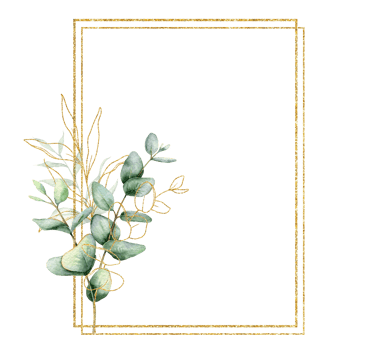 Eucalyptus Watercolor Frame. Eucalyptus Greenery Frame Hand Painted isolated on transparent background.  Perfect for wedding invitations, floral labels, bridal shower and  floral greeting cards png
