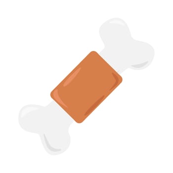 bone with skin illustration vector