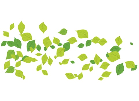 Eco nature Leaf Background Vector Illustration