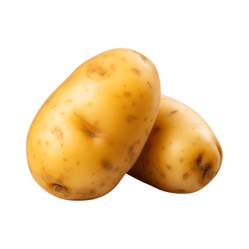 AI generated fresh raw potato vegetable isolated on a transparent background, PNG