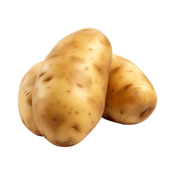 AI generated fresh raw potato vegetable isolated on a transparent background, PNG