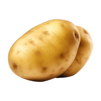 AI generated fresh raw potato vegetable isolated on a transparent background, PNG