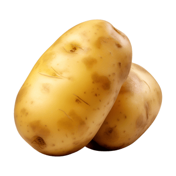 AI generated fresh raw potato vegetable isolated on a transparent background, PNG