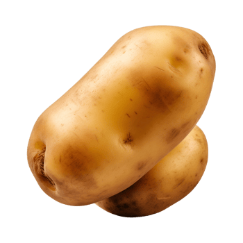 AI generated fresh raw potato vegetable isolated on a transparent background, PNG