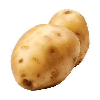 AI generated fresh raw potato vegetable isolated on a transparent background, PNG