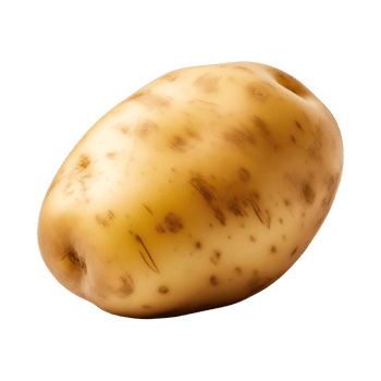 AI generated fresh raw potato vegetable isolated on a transparent background, PNG
