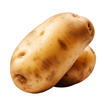 AI generated fresh raw potato vegetable isolated on a transparent background, PNG