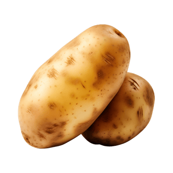 AI generated fresh raw potato vegetable isolated on a transparent background, PNG