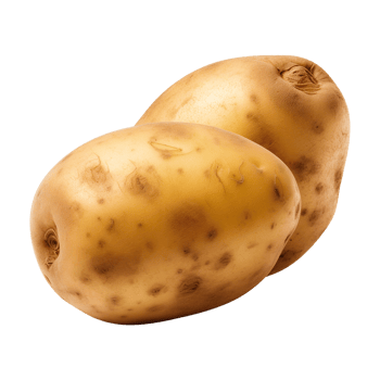 AI generated fresh raw potato vegetable isolated on a transparent background, PNG