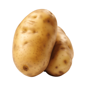 AI generated fresh raw potato vegetable isolated on a transparent background, PNG