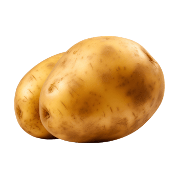 AI generated fresh raw potato vegetable isolated on a transparent background, PNG