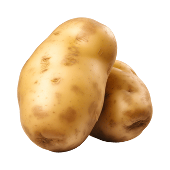 AI generated fresh raw potato vegetable isolated on a transparent background, PNG