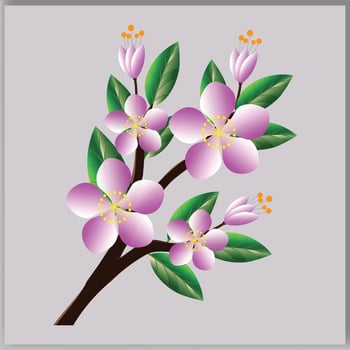 Vector spring Sakura cherry blooming flower bouquet.