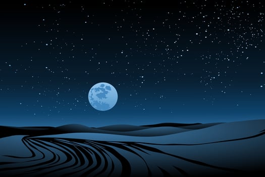 Night landscape in desert with moon and stars vector