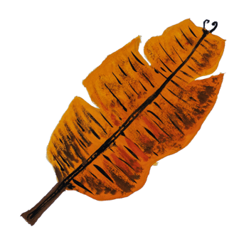 Watercolor tropical leaves floral isolated on transparent background PNG file.