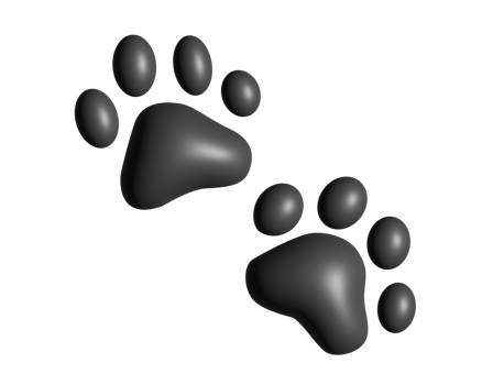 A pair of dark paw prints 3D icon, showing four toes and pad png