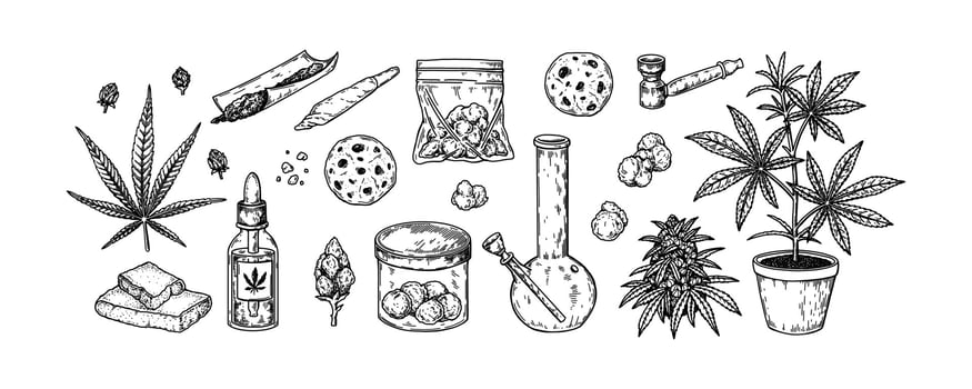 Cannabis smoking tools and products. Hand drawn marijuana design elements. Vector illustration in sketch style