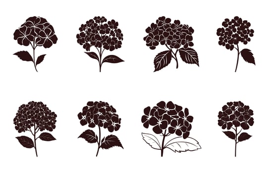 Hydrangea Flower Silhouette Vector set, Hydrangea Flowers Clipart Bundle