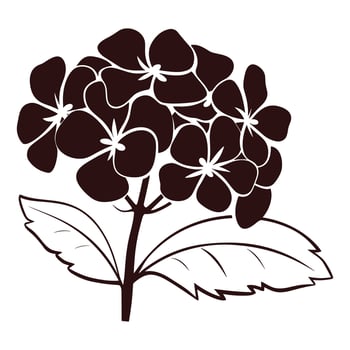 A Hydrangea Flower Vector Silhouette free