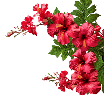 AI generated Red hibiscus flower isolated on transparent background png