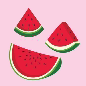 Watermelon Palestine Symbol for Peaceful Country . Green, White, Red, Black. Fresh Watermelon Fruit vector