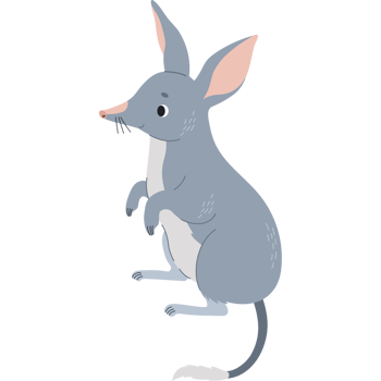 Cute bilby animal png