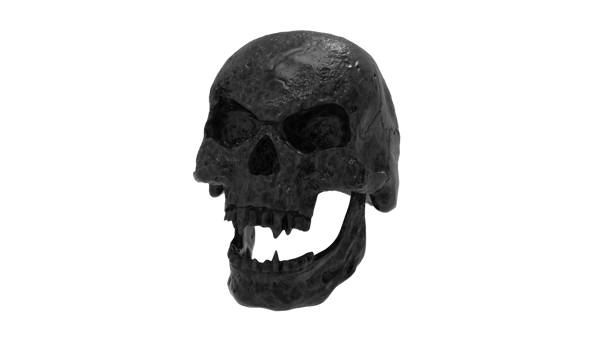 skull transparent backgorund png