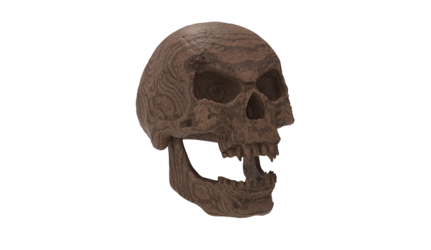 skull transparent backgorund png