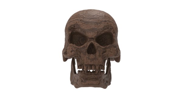 skull transparent backgorund png