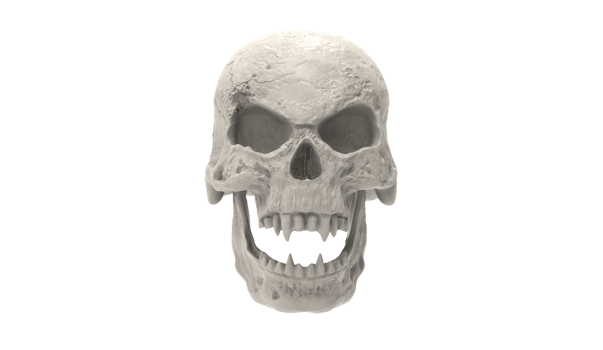 skull transparent backgorund png