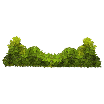 Green bush and tree for landscape and architecture drawing, elements for environment and garden,botanical elements for section in spring. png