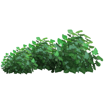 Green bush and tree for landscape and architecture drawing, elements for environment and garden,botanical elements for section in spring. png