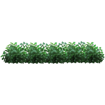 Green bush and tree for landscape and architecture drawing, elements for environment and garden,botanical elements for section in spring. png
