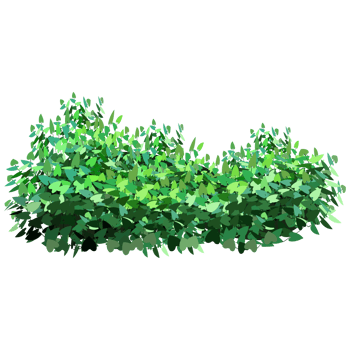 Green bush and tree for landscape and architecture drawing, elements for environment and garden,botanical elements for section in spring. png
