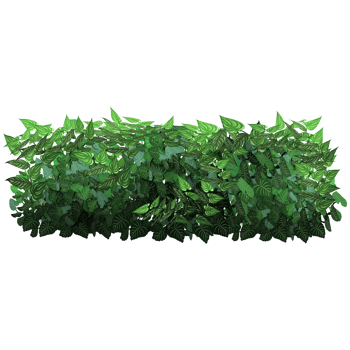 Green bush and tree for landscape and architecture drawing, elements for environment and garden,botanical elements for section in spring. png