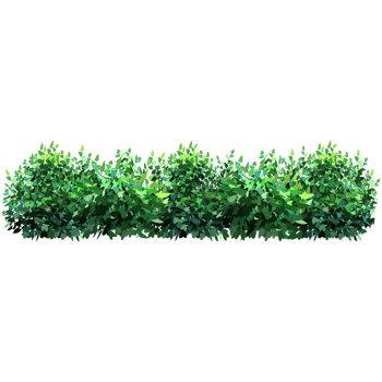 Green bush and tree for landscape and architecture drawing, elements for environment and garden,botanical elements for section in spring. png