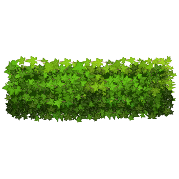 Green bush and tree for landscape and architecture drawing, elements for environment and garden,botanical elements for section in spring. png