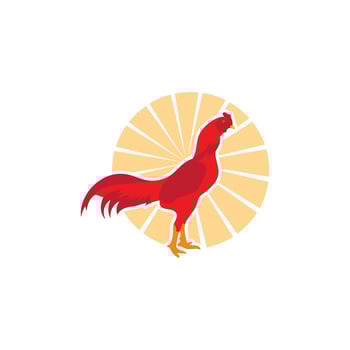 Rooster vector icon illustration design