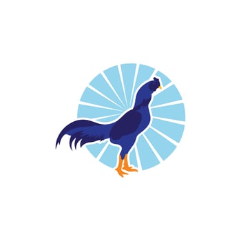 Rooster vector icon illustration design