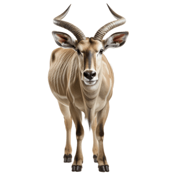 AI generated Eland on transparent background created with generative AI technology png