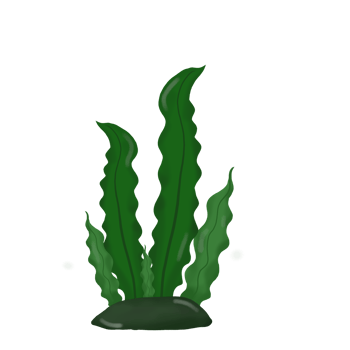 A cartoon plant with green leaves png