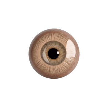 AI generated 3d realistic brown eyeball, with a transparent background png