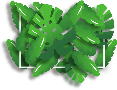 Frame with tropical leaves png