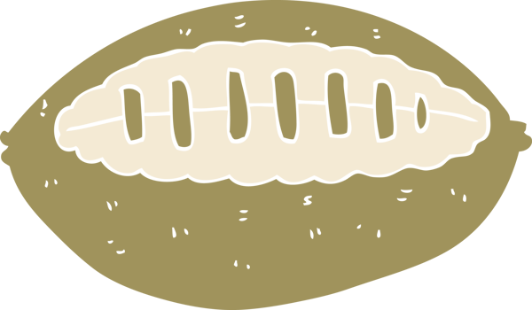 flat color illustration of football png