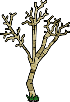 cartoon winter tree drawing png