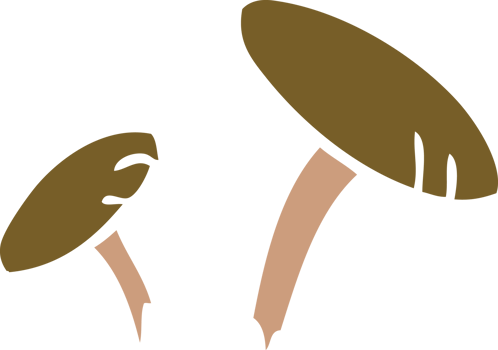cartoon doodle of some mushrooms png