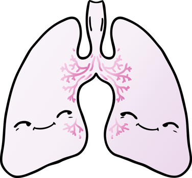 cartoon lungs drawing png