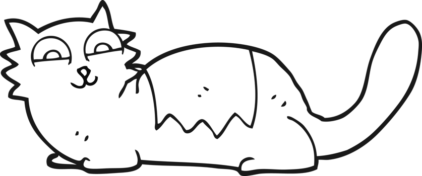 black and white cartoon cat png